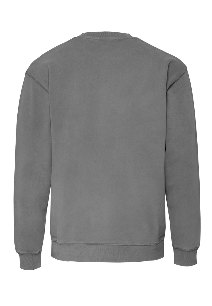 Sweatshirt shark grey regular fit crew neck